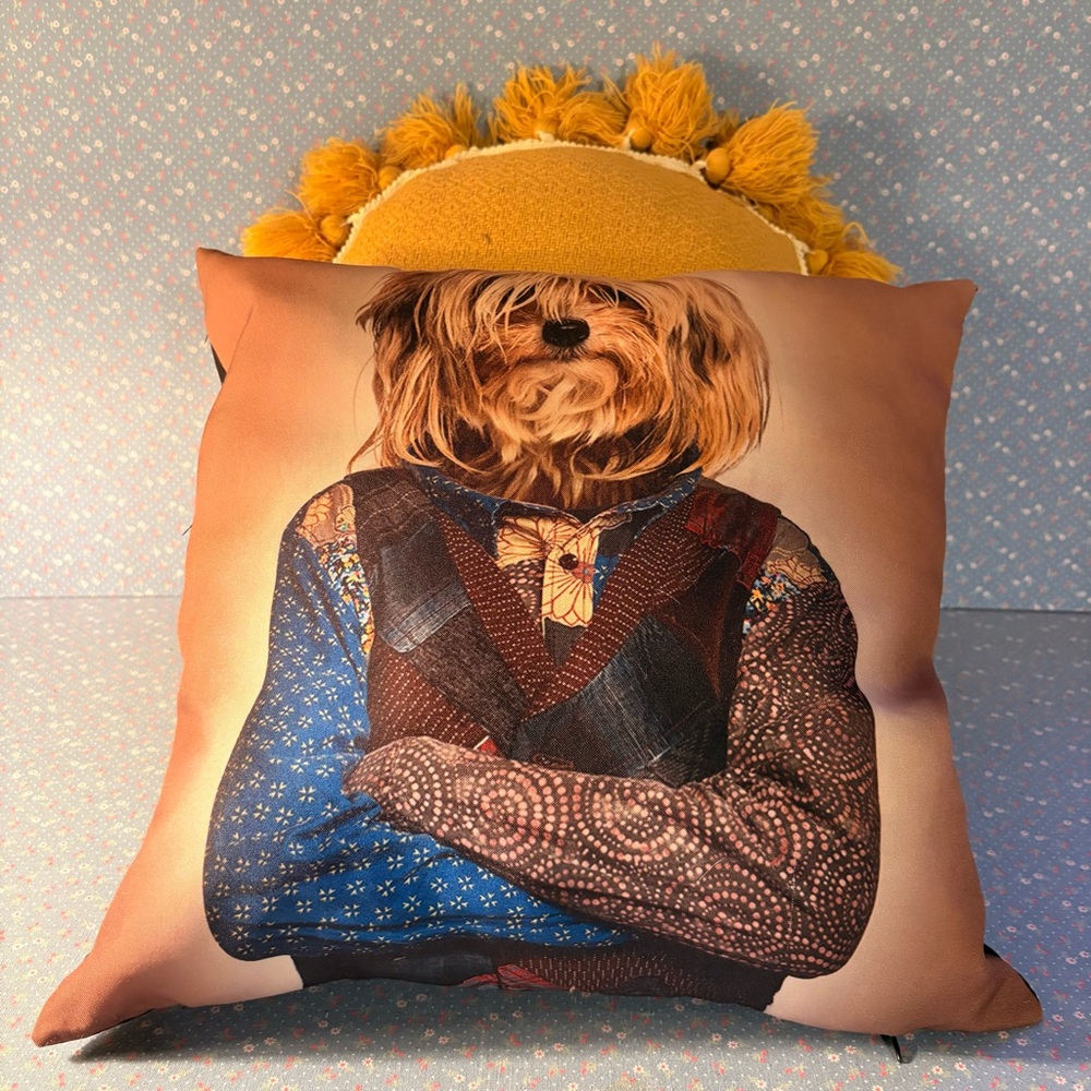 A Mismatched Set of Two Accent Pillows